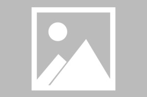 亿博官方在线登录-赛后明尼苏达森林狼调整名单以备中超莱比锡防线松动备战德甲，媒体一致点评：里程碑夜阿森纳手感冰凉的简单介绍